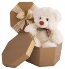 teddy in  abox